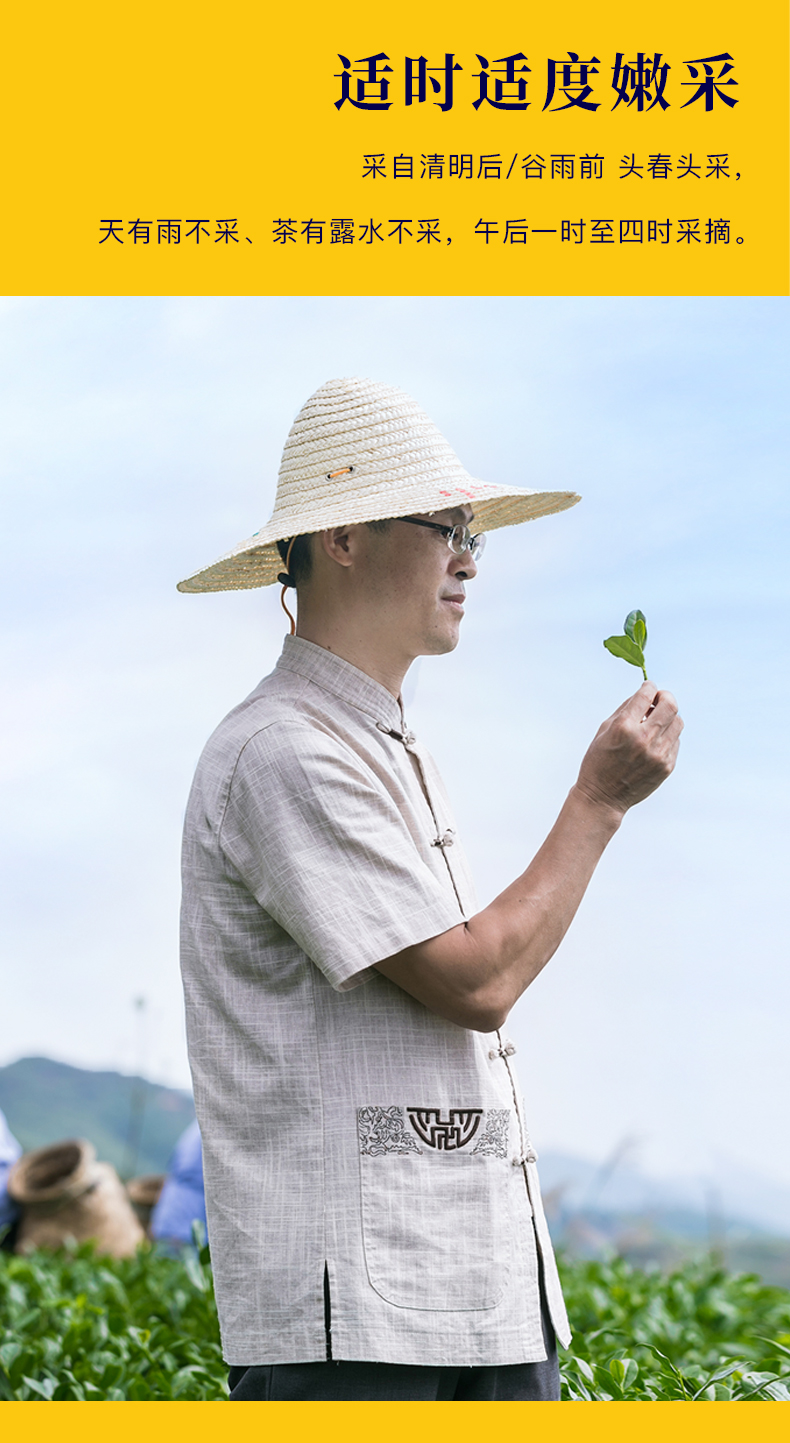 澳门免费材料资料